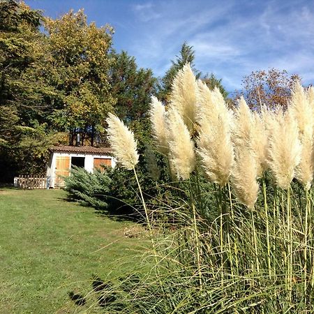 La Chaumiere Des Vigneaux Hotel Issoire Zewnętrze zdjęcie